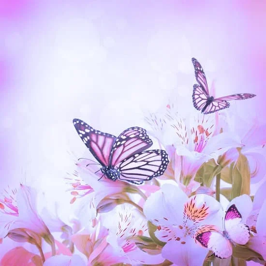 Hình Ảnh Hoa đẹp | Canva