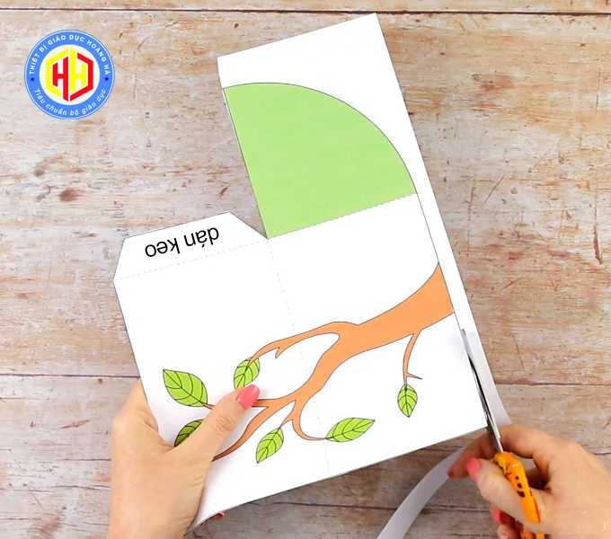 Cắt mẫu con bướm