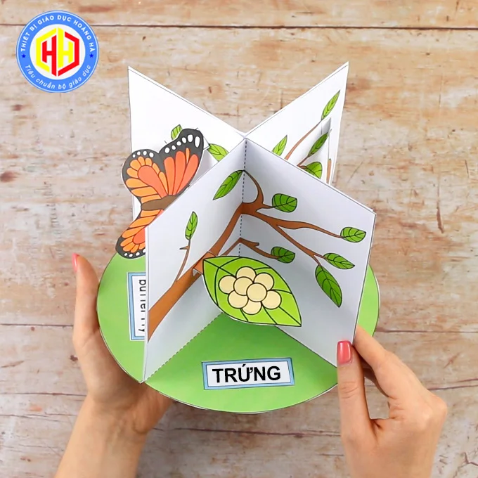 hình vẽ con bướm đẹp, hình 91