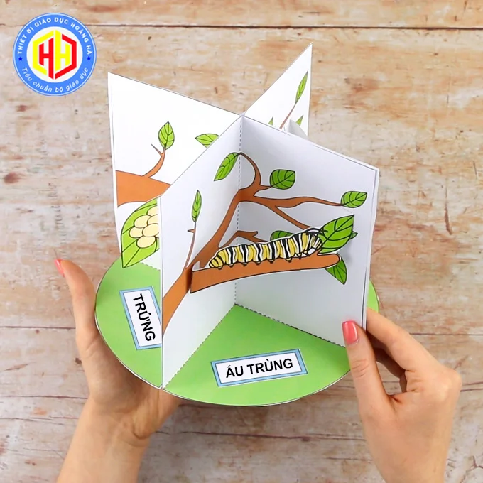 hình vẽ con bướm đẹp — ảnh 15