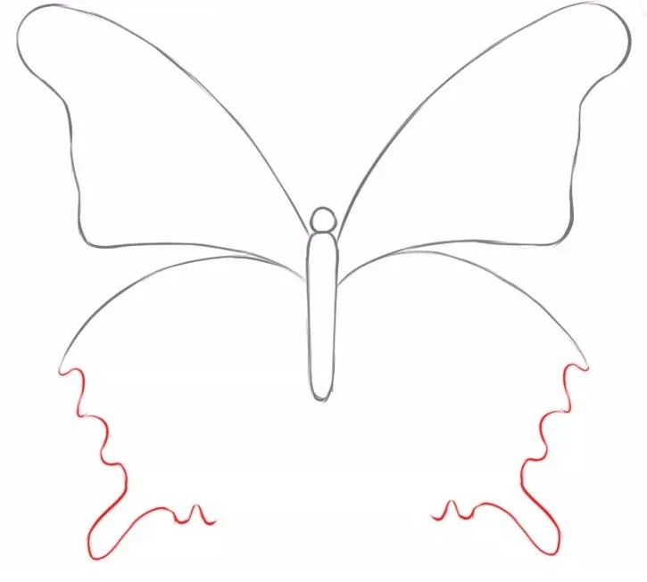 Bước 1: Vẽ đầu và thân bướm