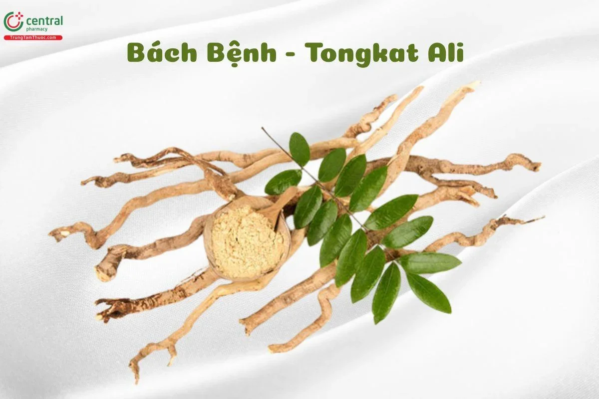 thuốc tăng kích thước cậu nhỏ tốt nhất (67)