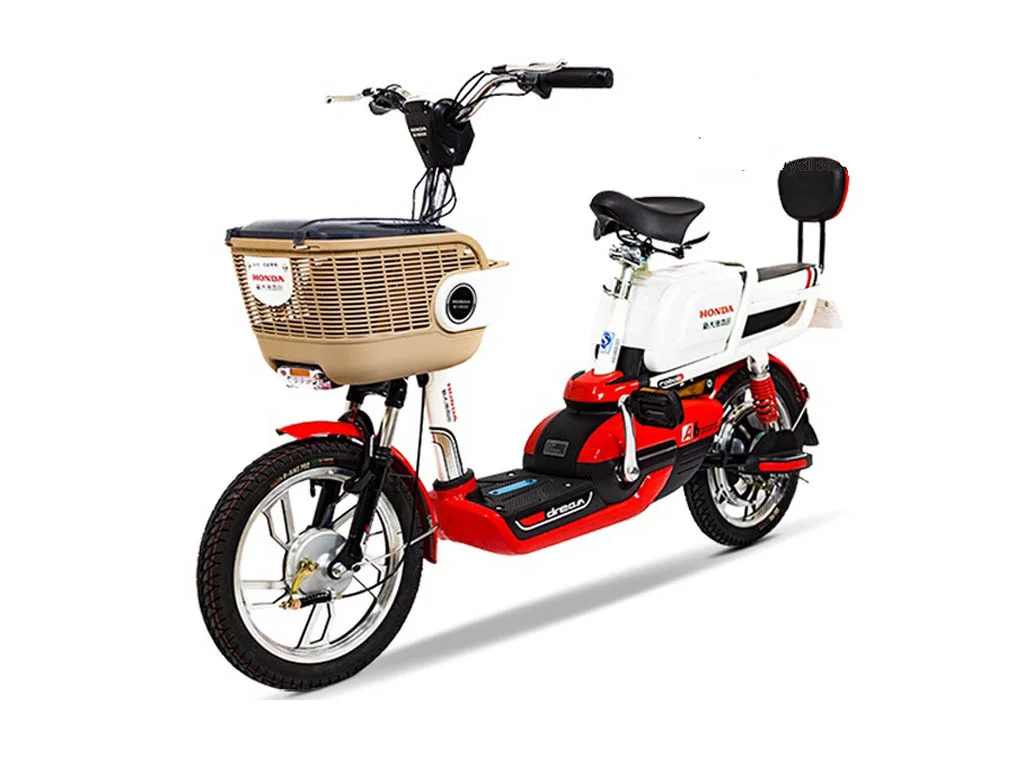 Xe đạp điện có giỏ mây và yên sau