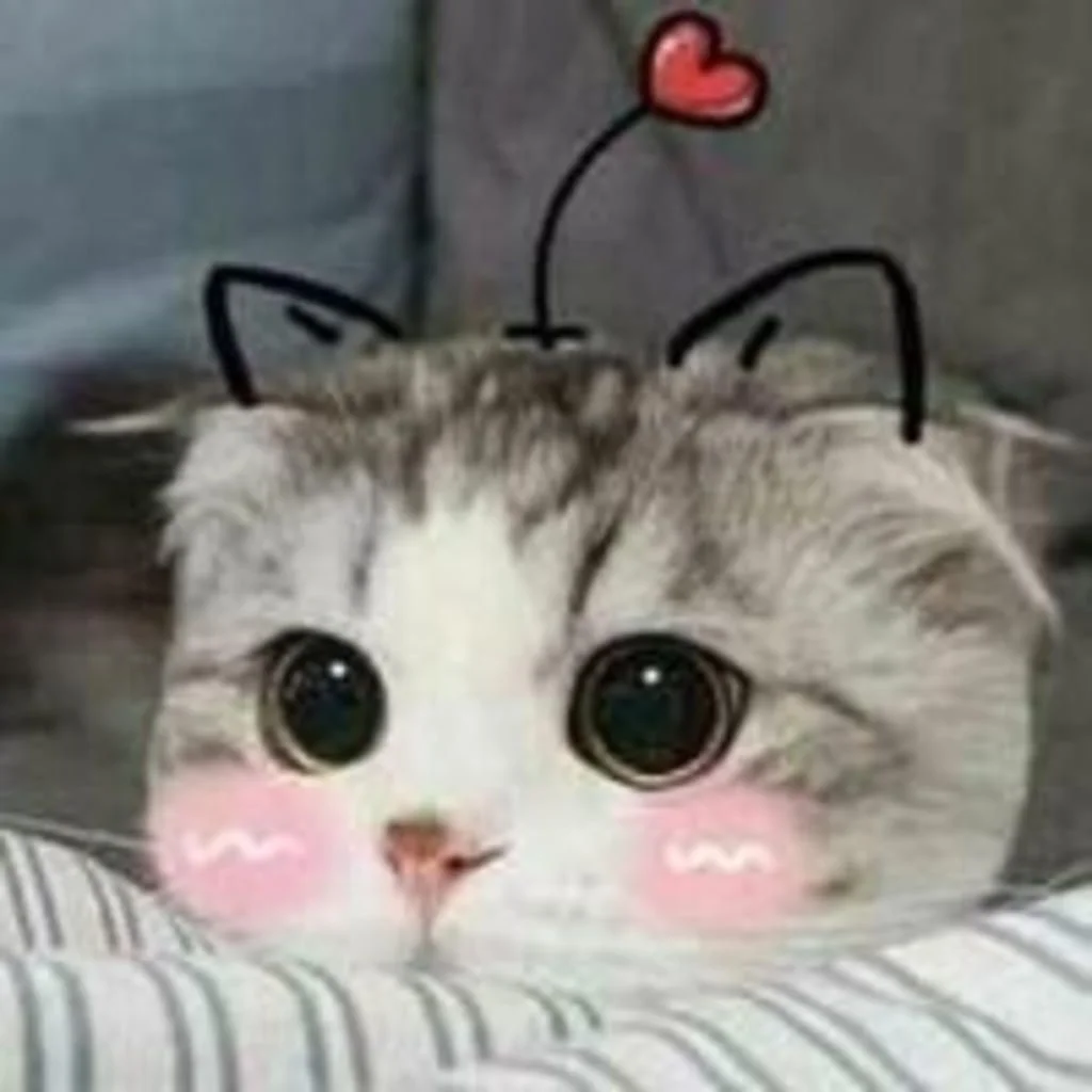 Hình con mèo cute với sticker trái tim và tai mèo vẽ tay