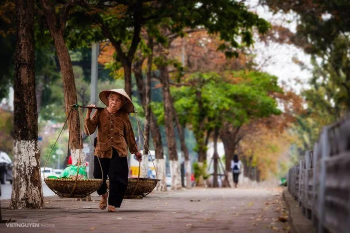 Người mẹ đội nón lá gánh quang gánh trên con đường rợp bóng cây