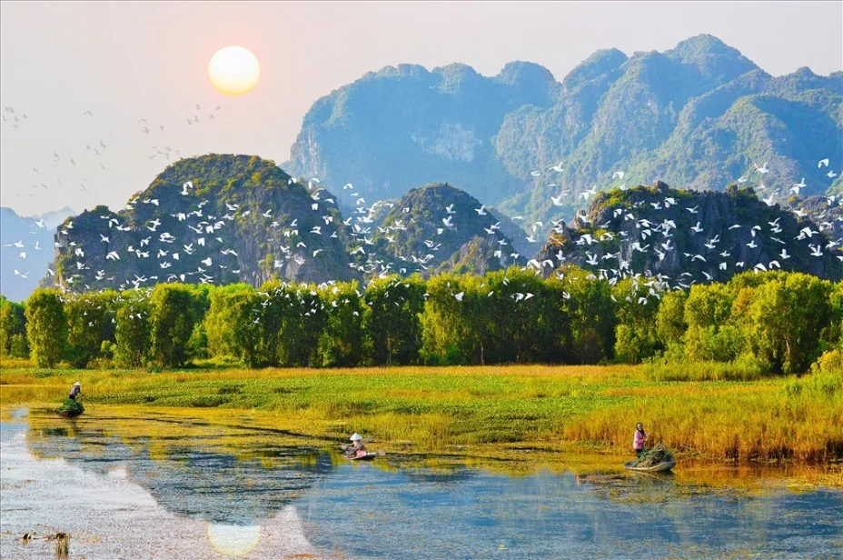 Đàn chim bay trên hồ nước dưới ánh hoàng hôn trong chuyến du lịch thiên nhiên