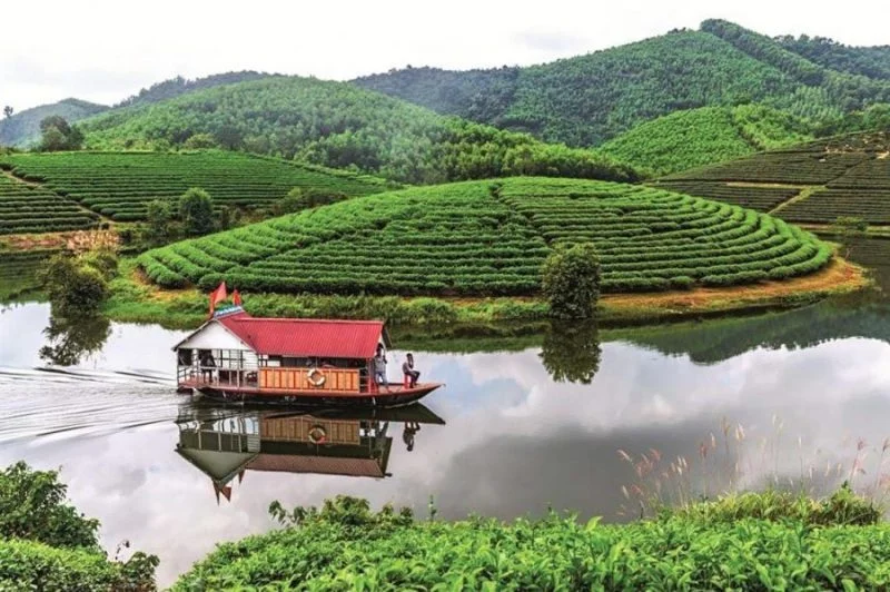 Du thuyền chạy trên hồ nước giữa đồi chè xanh mướt trong chuyến du lịch sinh thái