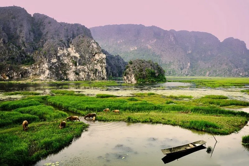 Khung cảnh thiên nhiên hoang sơ trong chuyến du lịch