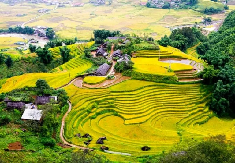 Toàn cảnh làng quê bên ruộng bậc thang vàng óng trong chuyến du lịch mùa lúa chín