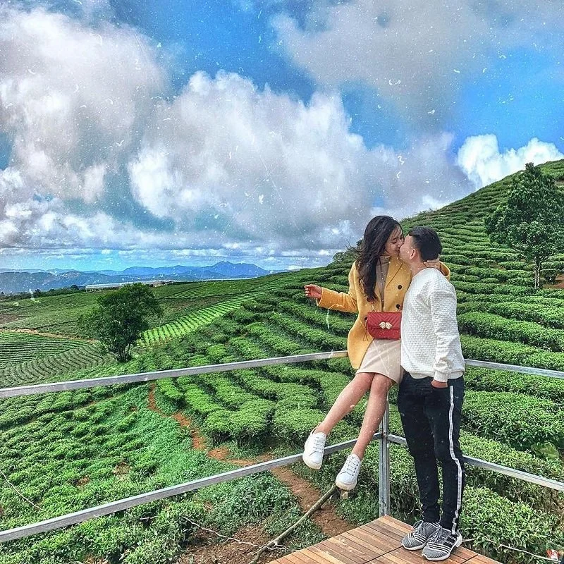 Cặp đôi chụp ảnh du lịch tại đồi chè xanh mướt
