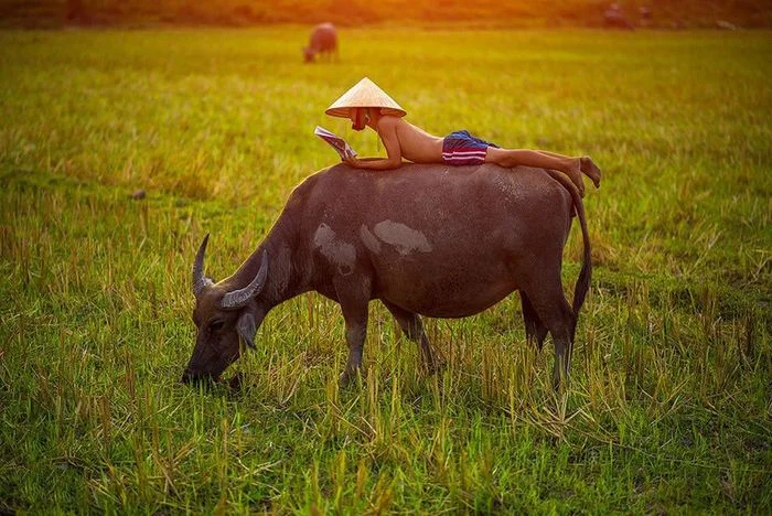 Khám phá thế giới động vật qua hình ảnh dành cho bé nhận biết (2)