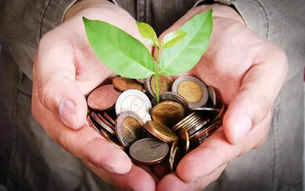Đôi bàn tay nâng niu mầm cây non mọc trên tiền xu tượng trưng cho tài lộc