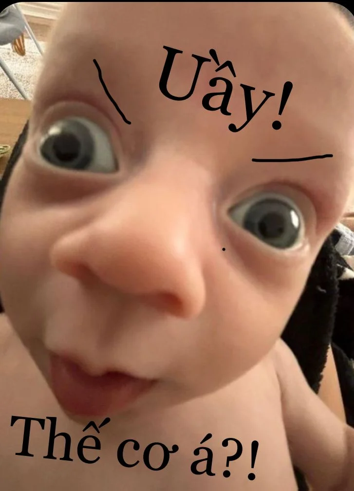 900+ Meme hài 🤣🥲🙂😎😍🙏👍🏻 ý tưởng trong 2026 | hài hước về mèo, chuyện tào lao, ảnh chú hề