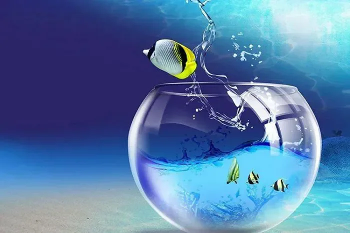 Tải hình nền 3D cực đẹp, dễ thương cho điện thoại, máy tính